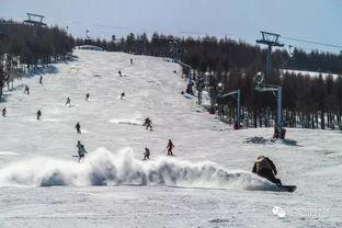 滑雪场死人爆料视频,死者亲述惊险瞬间