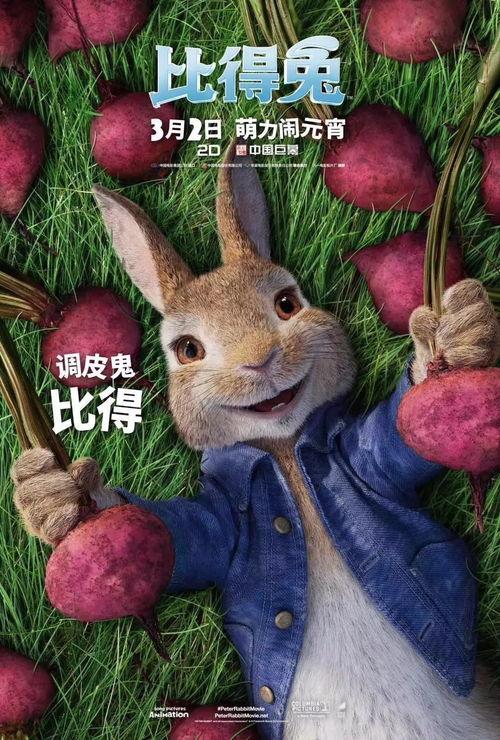 娱乐吃瓜兔子视频大全,盘点热门视频大全 第3张 娱乐吃瓜兔子视频大全,盘点热门视频大全 第3张