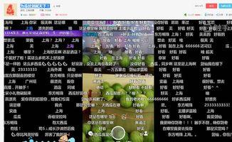 西瓜条八卦爆料怎么做视频,揭秘视频制作背后的秘密  第2张