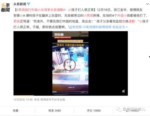 江西男孩事件爆料视频,真相揭露与反思