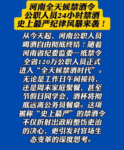 河南网友爆料视频最新版,揭秘惊人真相！  第2张