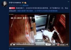 网红爆料家暴视频播放在线观看,网络直播下的家庭暴力真相  第1张